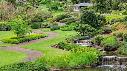 Japanese Garden - Cowra 